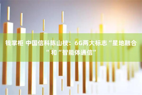 钱掌柜 中国信科陈山枝：6G两大标志“星地融合”和“智能体通信”