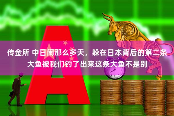 传金所 中日闹那么多天，躲在日本背后的第二条大鱼被我们钓了出来这条大鱼不是别